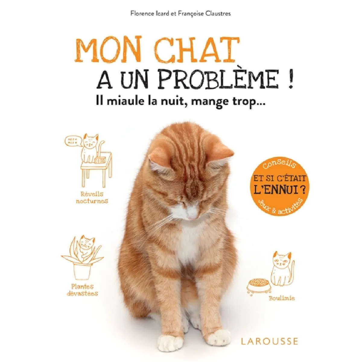Mon chat a un problème ! : il miaule la nuit, mange trop... : et si c'était l'ennui ? Conseils, jeux & activités · Occasion