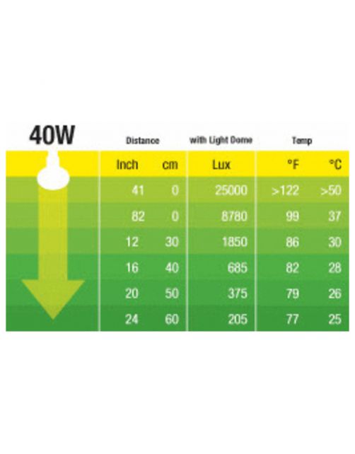 Exo Terra Daytime Heat Lamp Daglicht - Verlichting