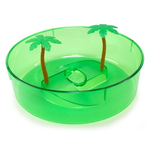 Aquário redondo para tartarugas com palmeira verde