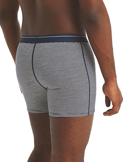 ICEBREAKER - BOXER ANATOMICA M