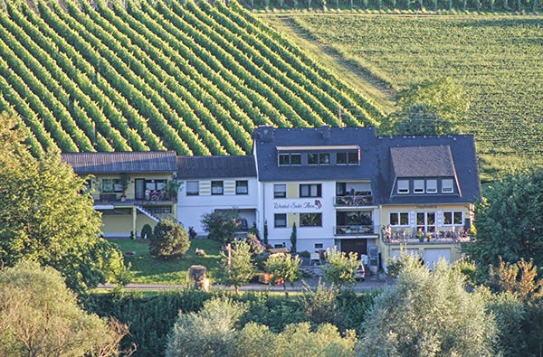 Weinverkostung in Erden – sinnliche Freuden