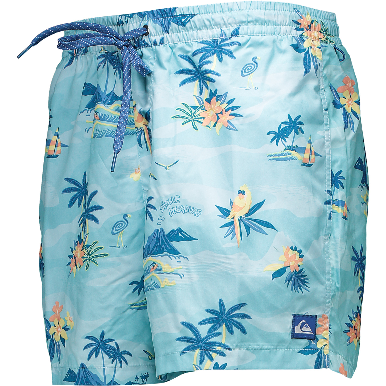Quiksilver Herren-Badeshorts Everyday Scenic 15 XXL