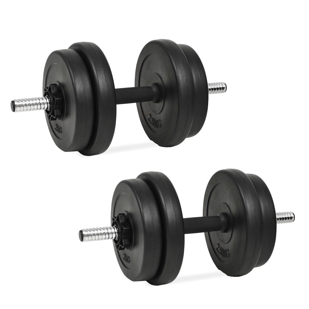 Conjunto de halteres Vidaxl