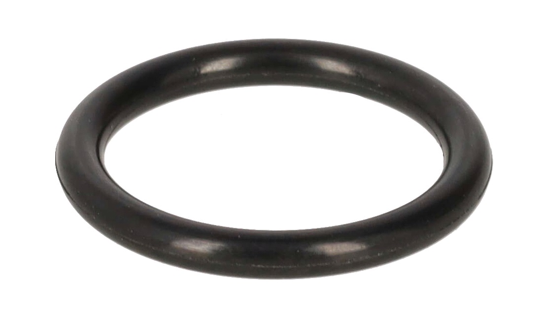 O-ring - 25 x 3,53mm F-20