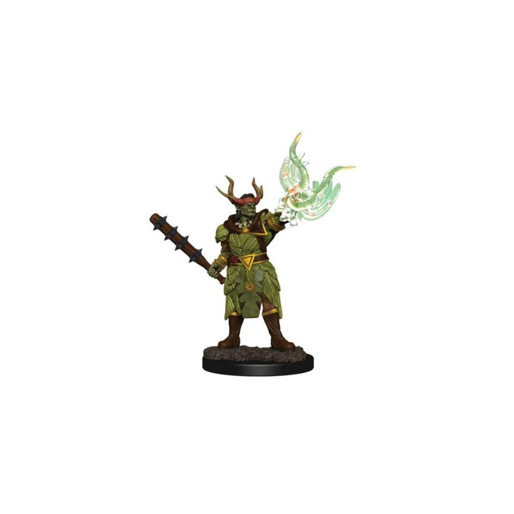 Pathfinder Battles Premium Painted Figure - Half-Orc Druid Male
