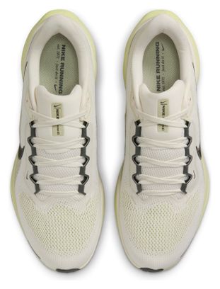 Chaussures Running Nike Pegasus 41 Beige/Vert Homme