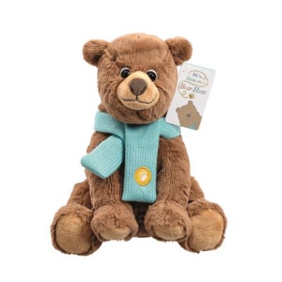 The Bear Hunt Soft Toy