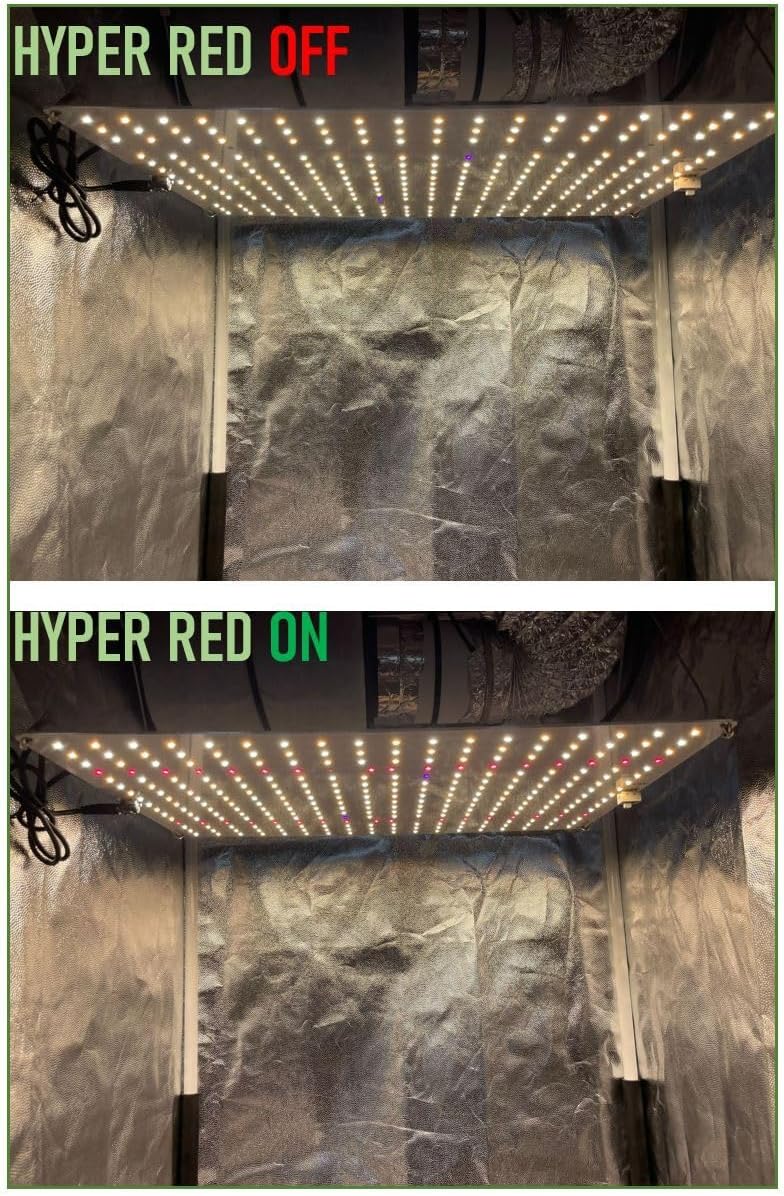 Growbox Komplettset 80x80 für 3 Pflanzen, dimmbare LED und leise Abluft regelbar