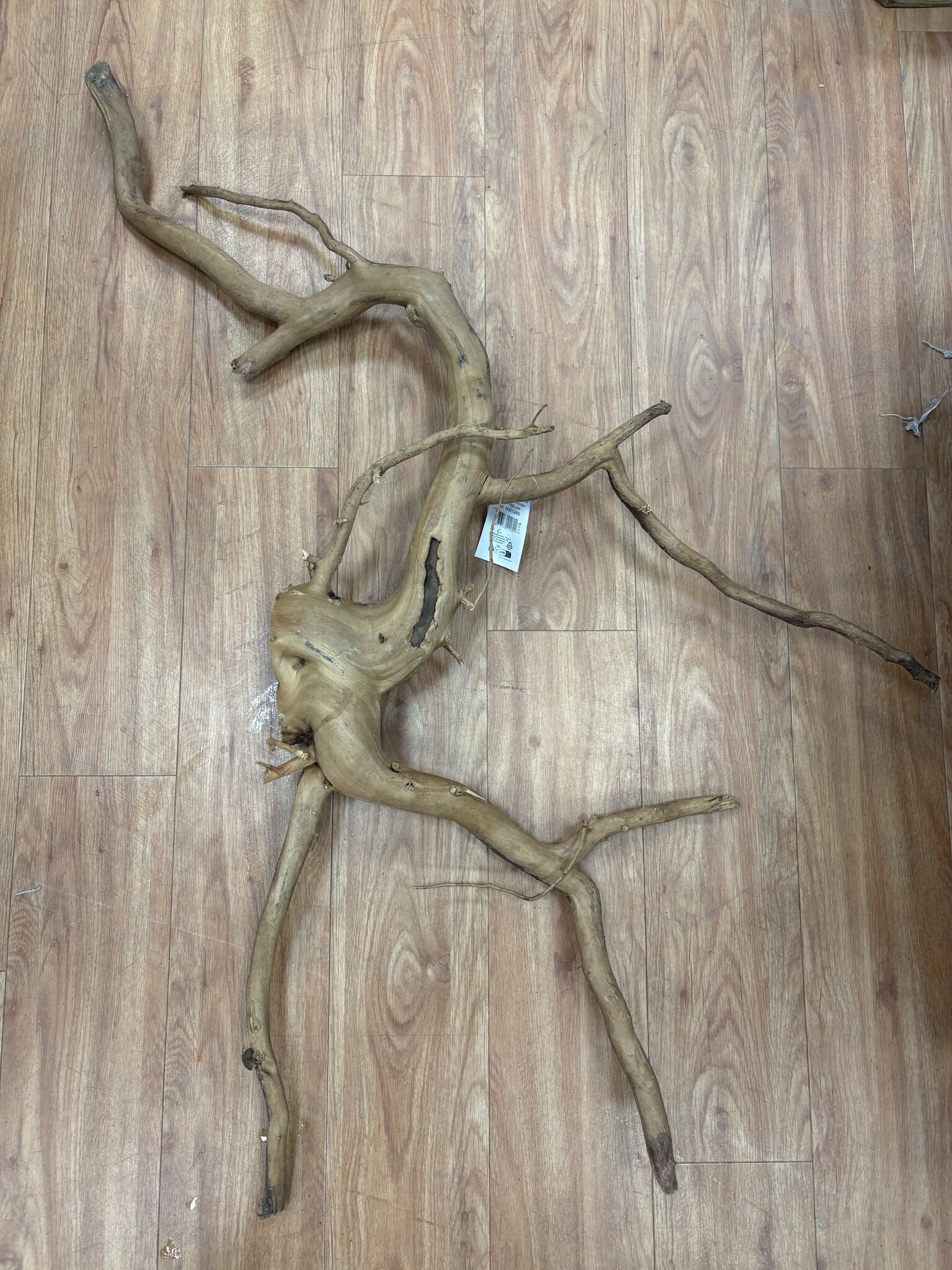 AQXL Selected Spider Wood Jumbo 100x150 A