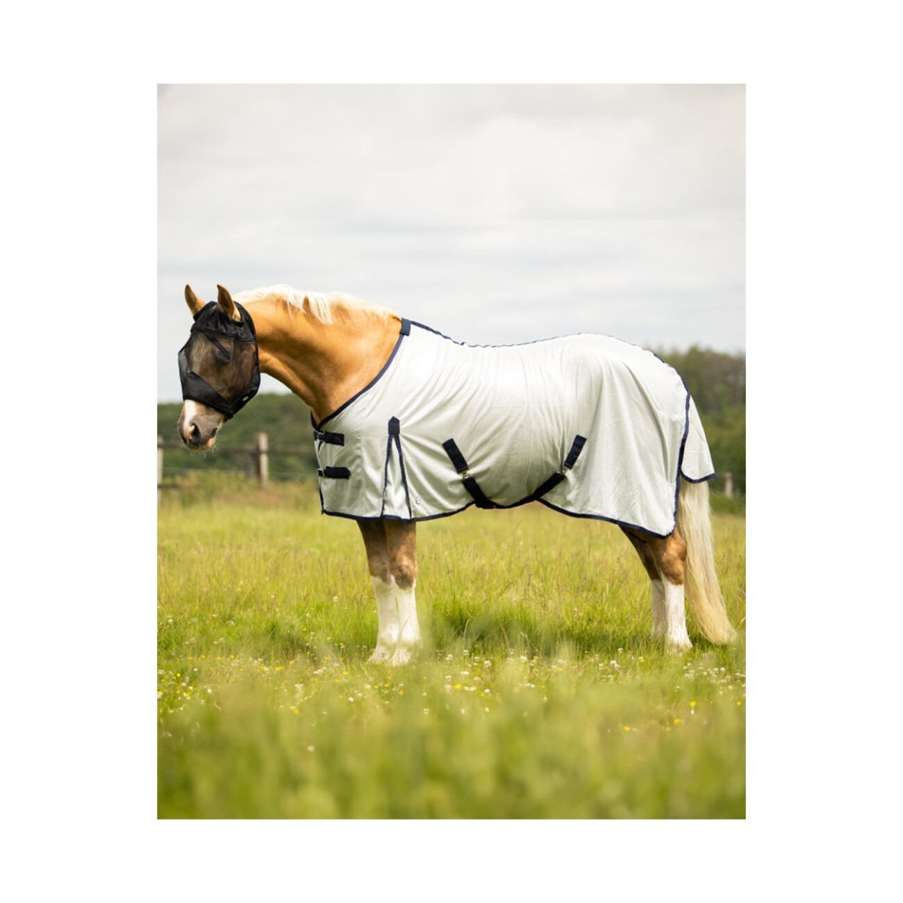 4Horses Fliegendecke Favorit 1,35 m