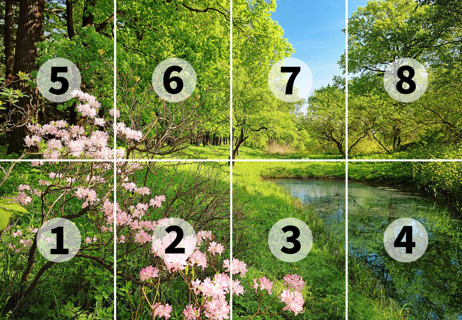 Fototapete DESIGNWALLS 2.0 - grün-rosa - See - 2,5 Meter