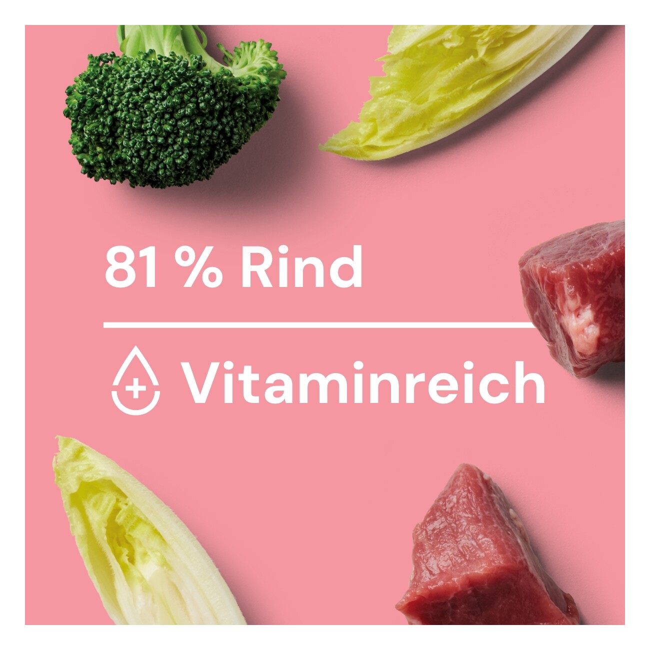 Nutriment Frischemenü Rind & Huhn 10x400g mit Hundeeis 6x90ml