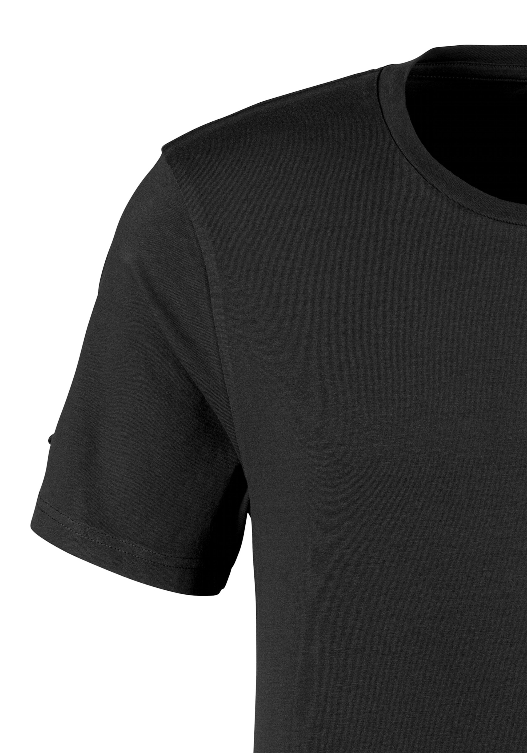 Bruno Banani T-Shirt in schwarz, grau-meliert, weiß