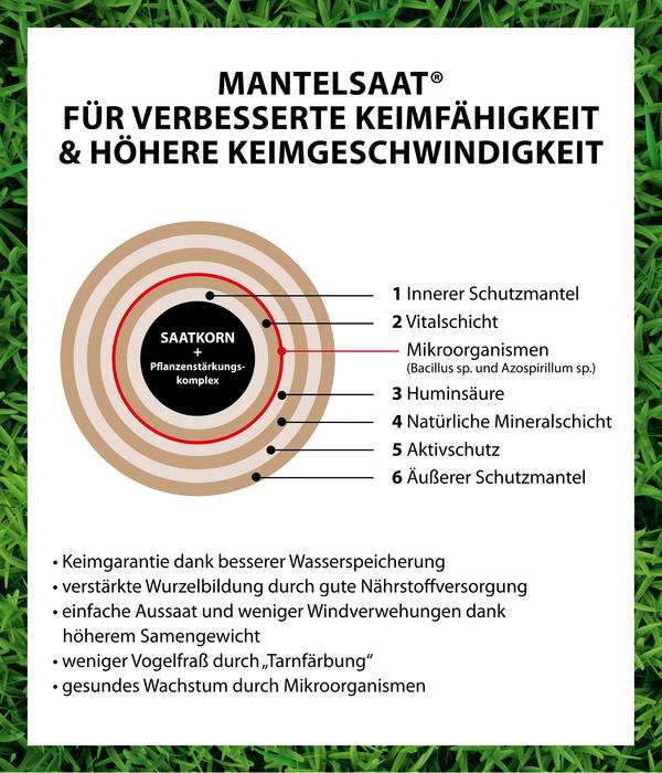 Dehner Rasen Verti-Kur