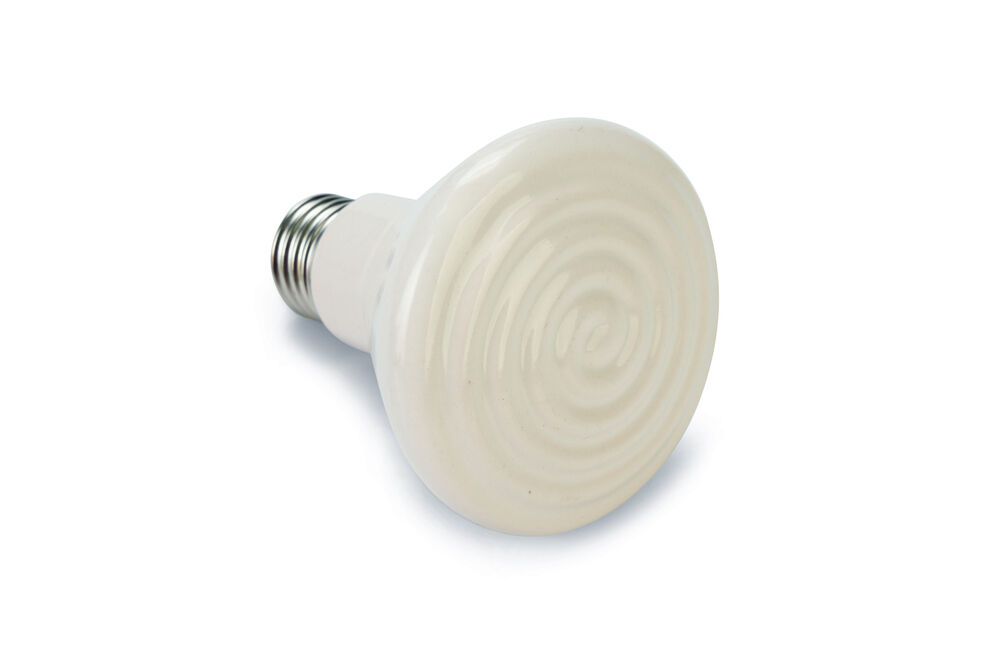 Powerheat Donkerstraler - Warmtelamp - Wit - 10x7.5x7.5 cm - 100 W