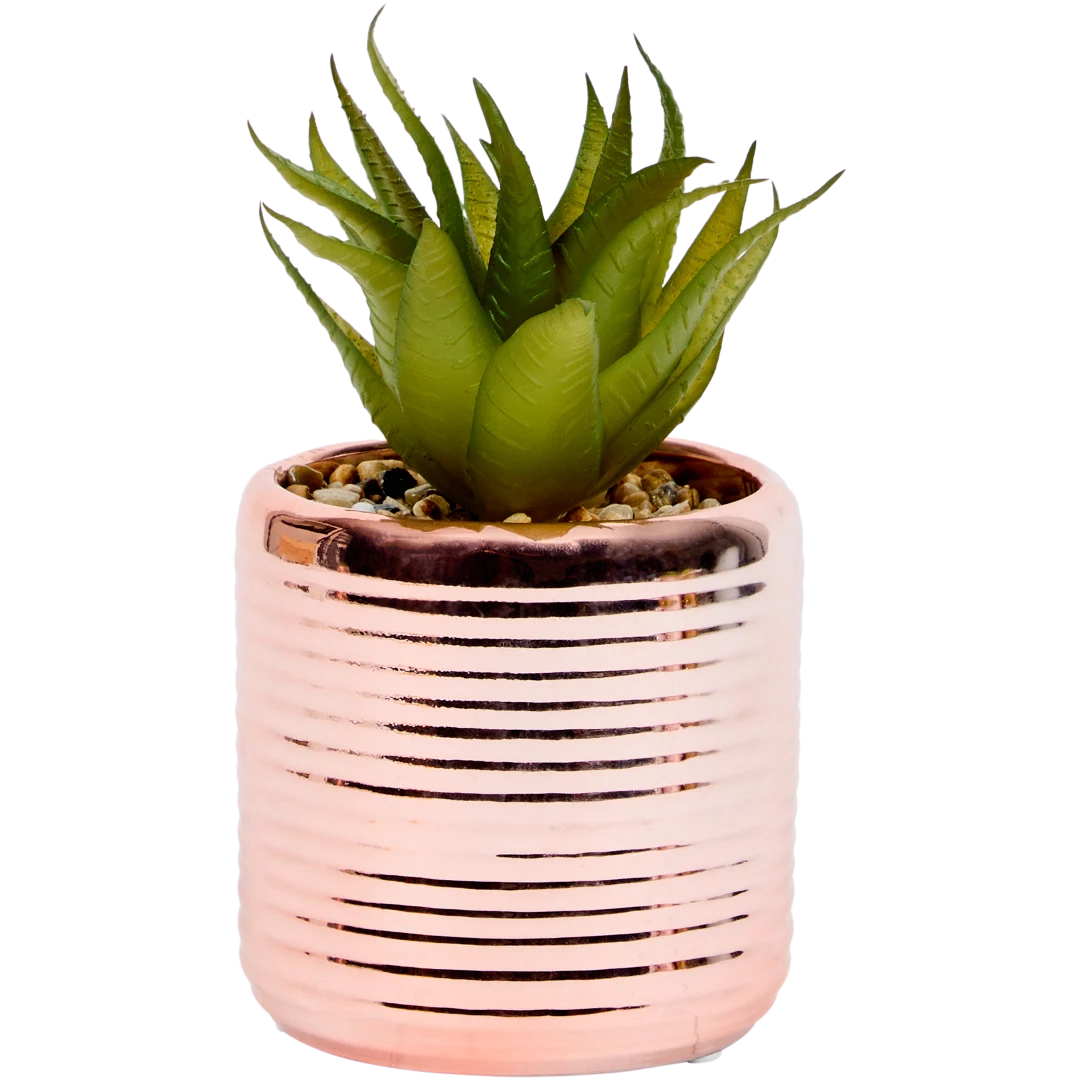 Kunstvetplant in pot Diverse varianten