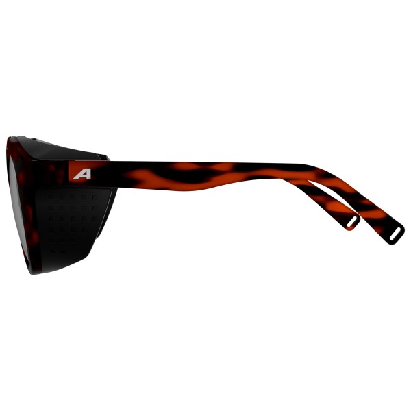 Alpina - Glace S3 - Lunettes glacier
