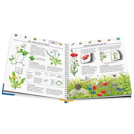 Ravensburger WWW Sonderband - Mein großes Natur-Lexikon