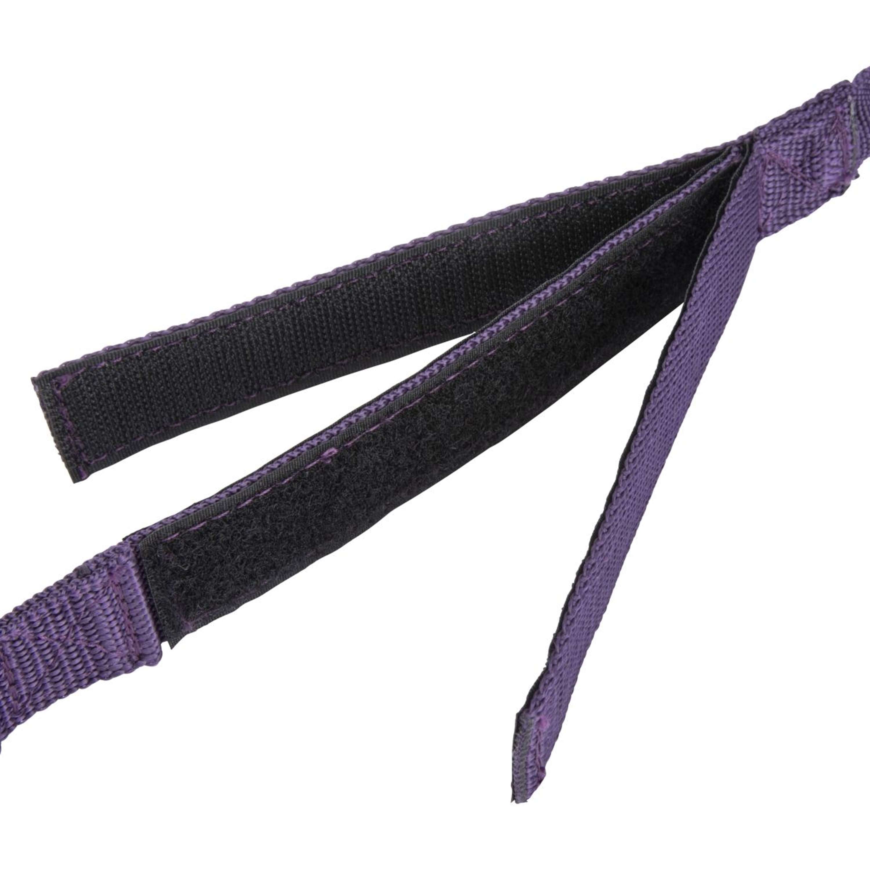 Shires Vastzetlijn Bungee Beakaway Paars