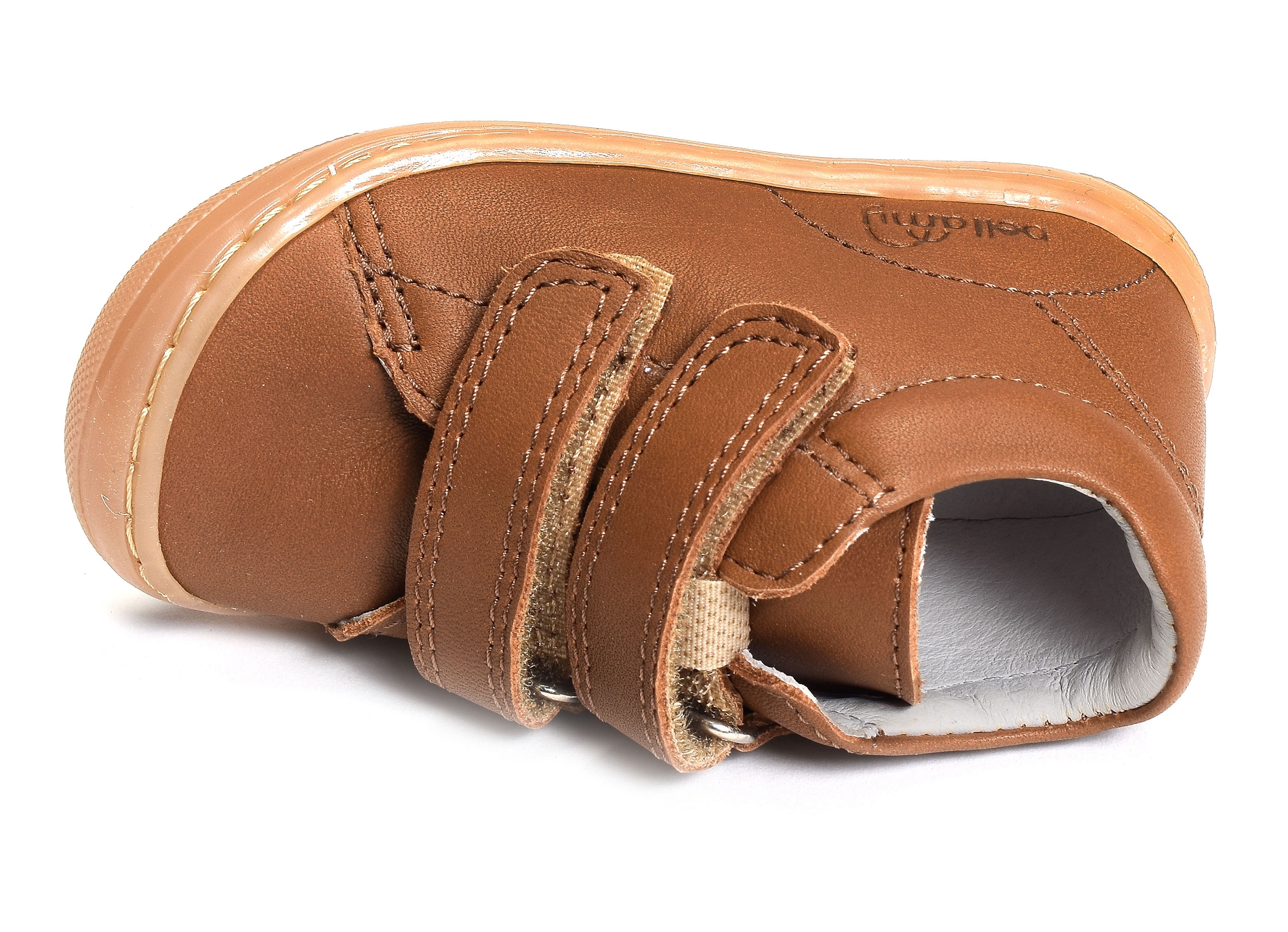 Loulou camel