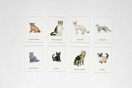 Cats & Kittens: A Memory Game