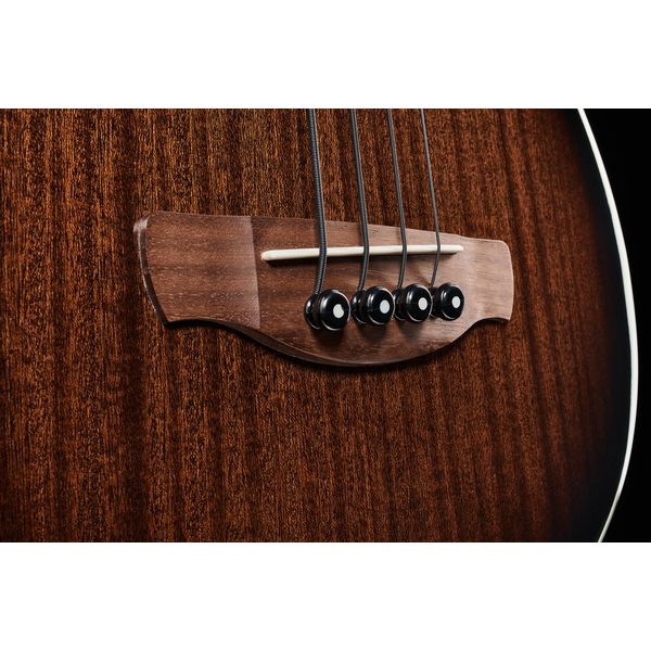 Ibanez AEGB24E-MHS