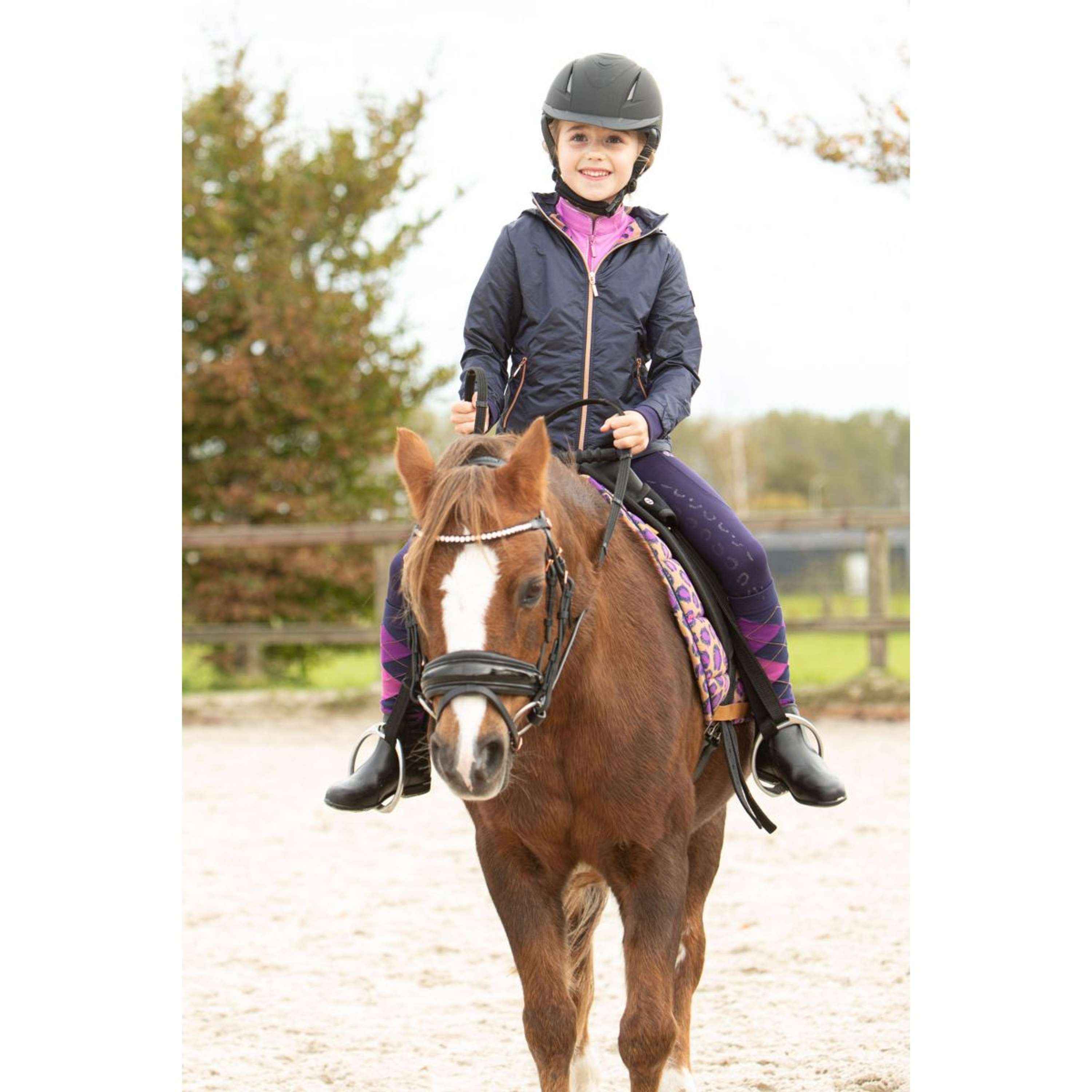 Harry's Horse Jas Loulou Jule Eclipse