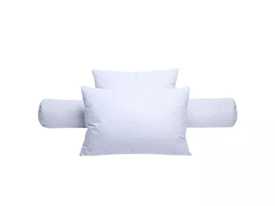 Lot De 2 Oreillers Plumes 60 X 60 Cm 