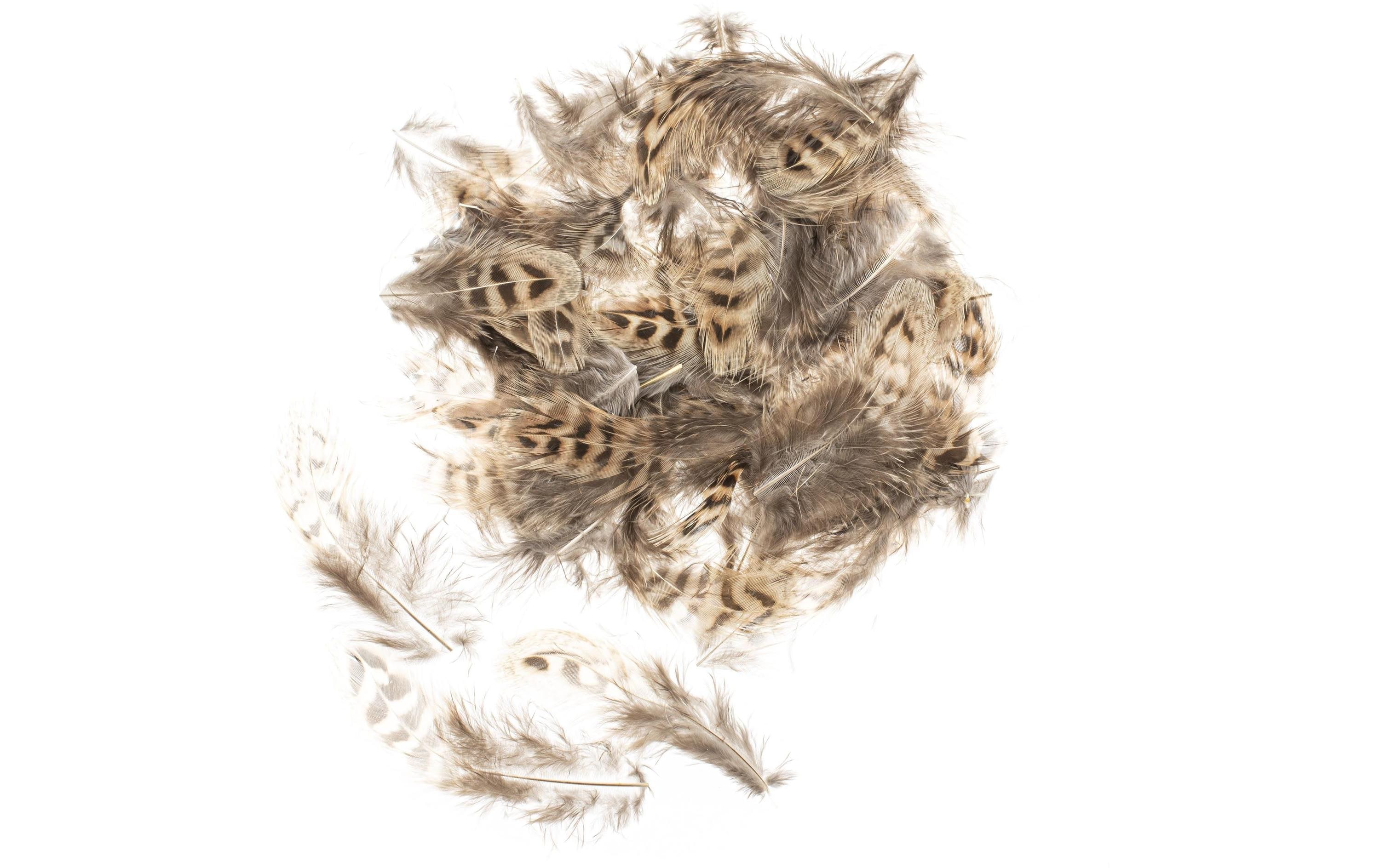Federn Huhn 5-12 cm, 10g, BraunHühnerfedern