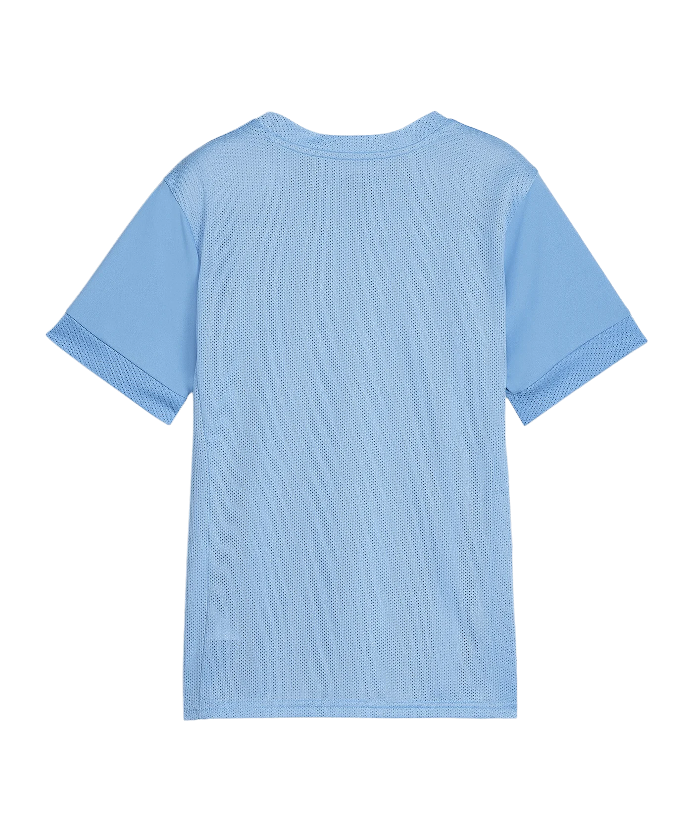 PUMA teamGOAL Matchday Trikot Kids Blau Weiss F18
