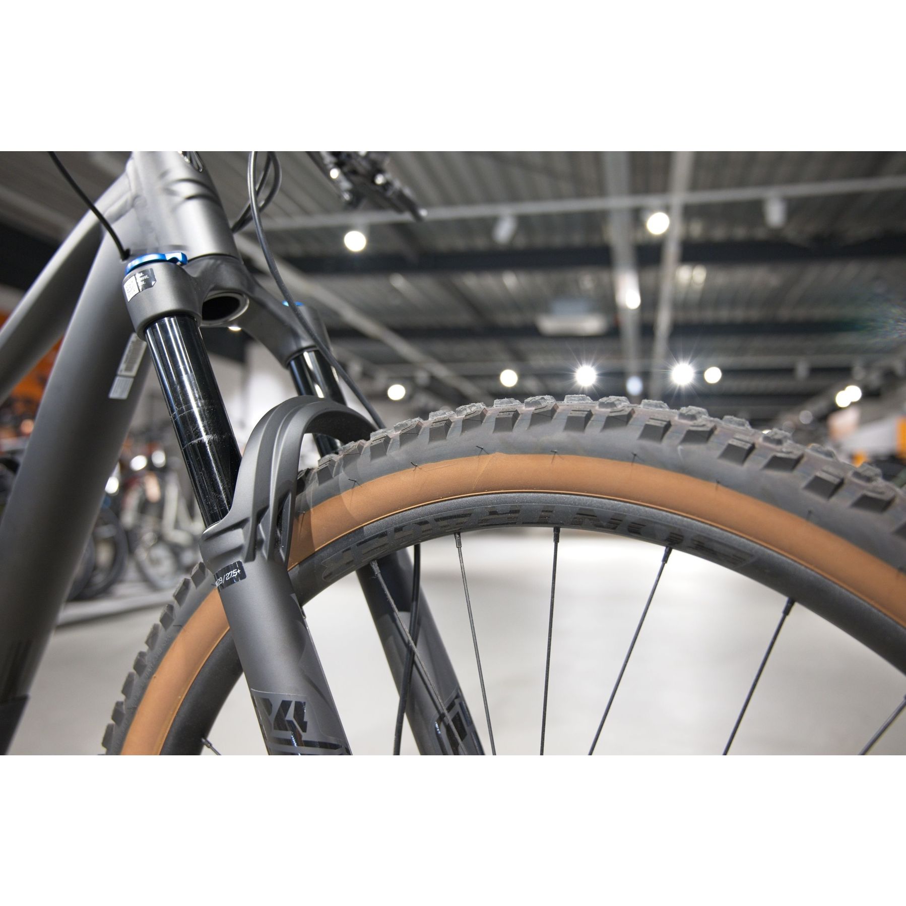 Trek Top Fuel 8 Gen 4 2026