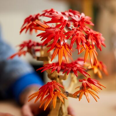 LEGO Botanicals 10348 Bonsai-tre: Japansk lønn