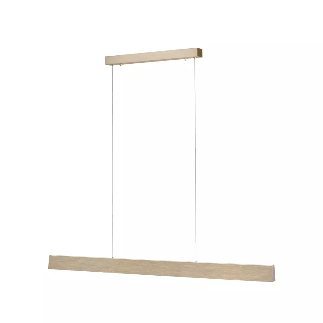 LED-Pendelleuchte Pure-Motion