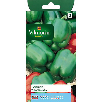 Graines de Poivron Yolo Wonder Vilmorin
