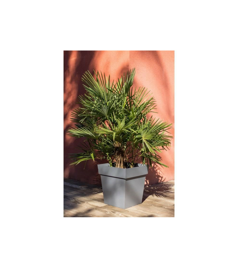 Pot de fleur carré toscane 49,5 x h.52,5 cm - gris anthracite