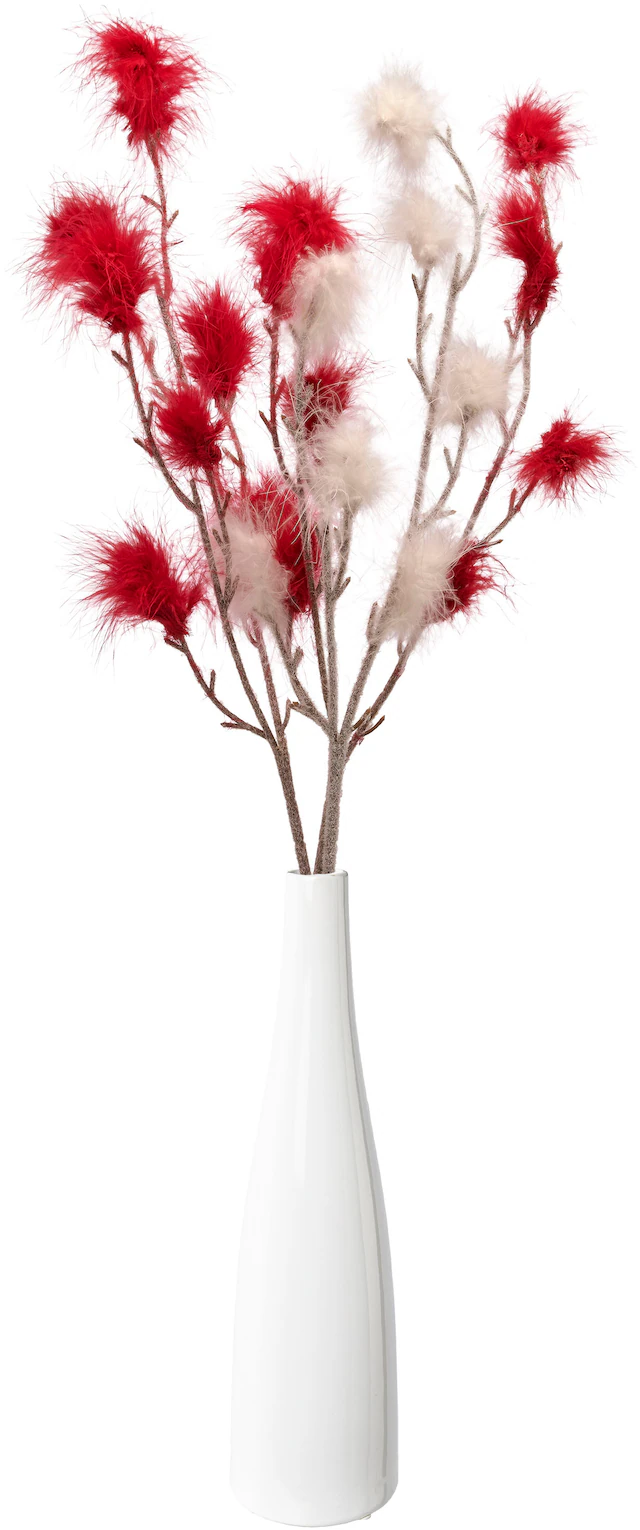 Creativ home Tischvase »Vase mit Federzweigen« für die moderne Einrichtung