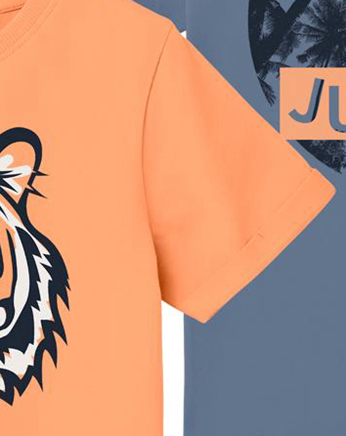 T-Shirt NMMVUX 2er-Pack in salmon buff