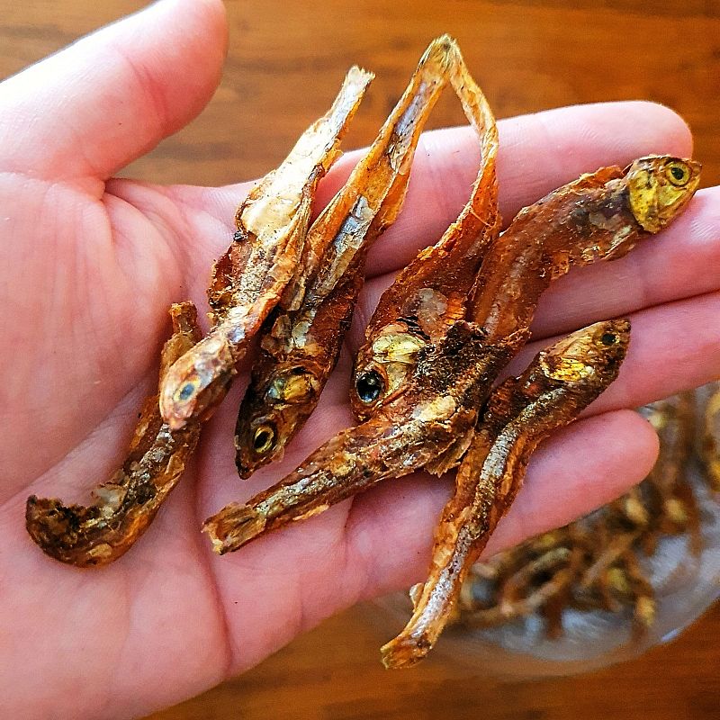Gedroogde Visjes Dierapotheker.nl 50 gram