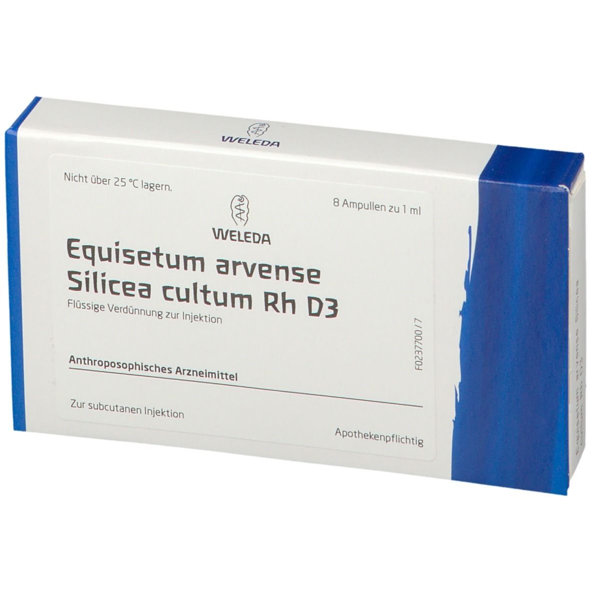 Equisetum Arvense Silic. Cult. Rh D3 Ampullen
