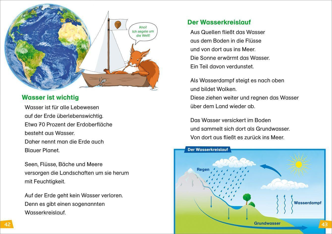 Natur entdecken und schützen / WAS IST WAS Erstes Lesen Bd.4