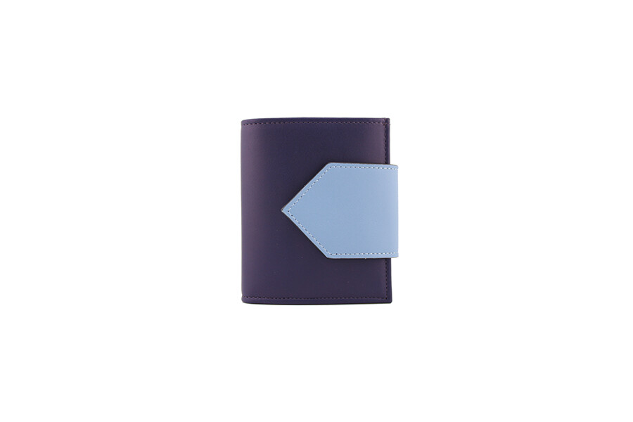 Lip-wallet oceano