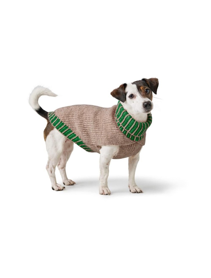 Hunter - Hundepullover Odense 35 + hat, Beige/grøn