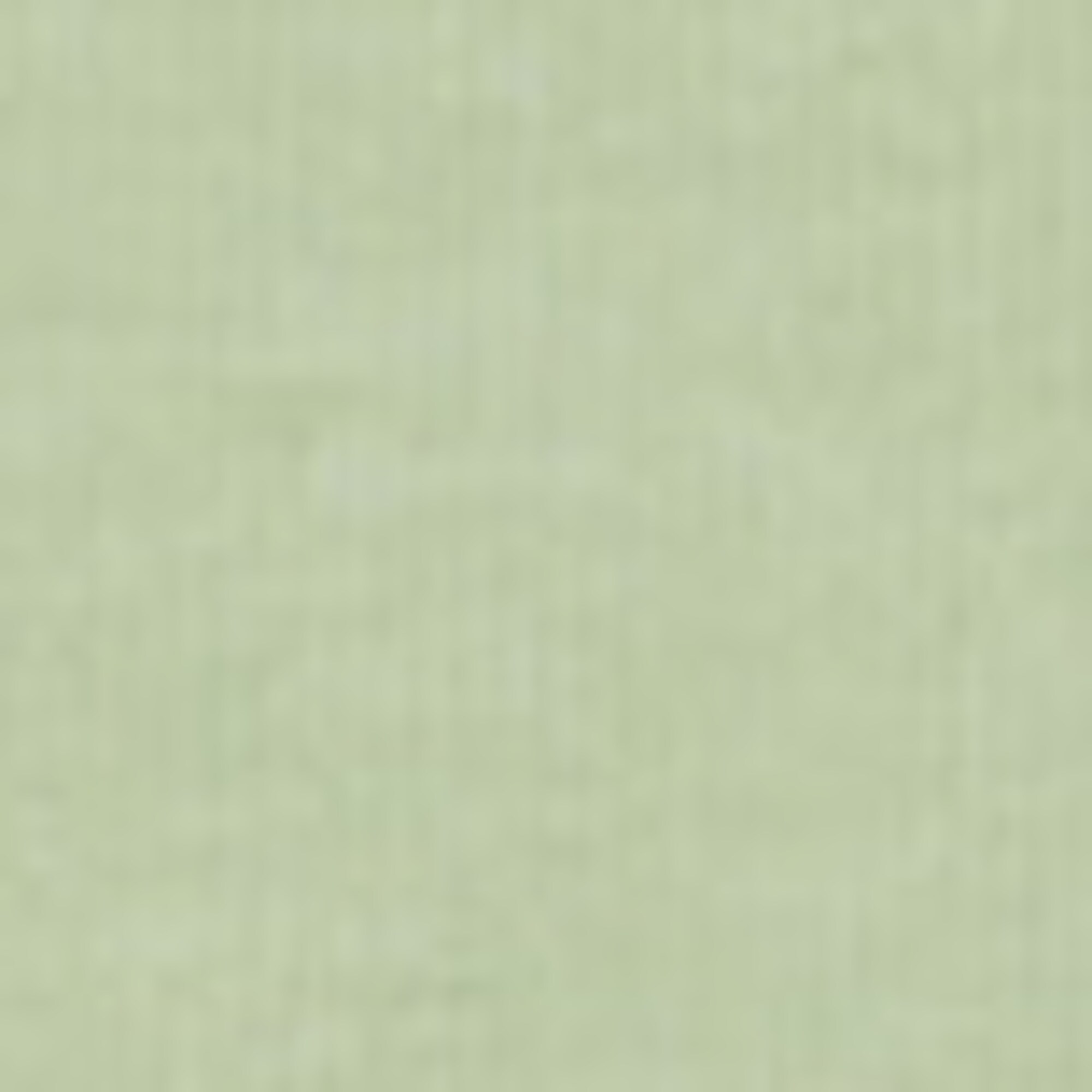 T-Shirt regular aus reiner Bio-Baumwolle