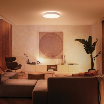 Philips Hue plafondlamp Enrave wit - warm tot koelwit licht 34W - Ø 42 cm - met 1 dimmerswitch