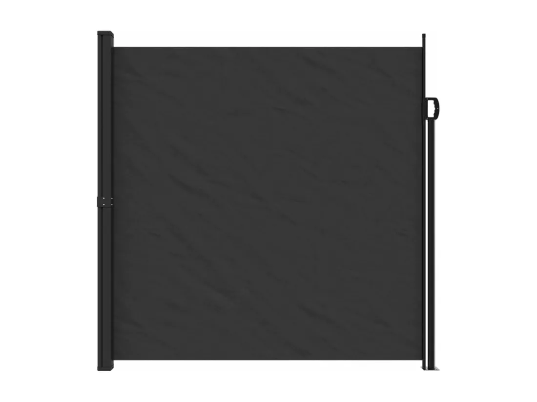 Auvent latéral rétractable noir 200x300 cm