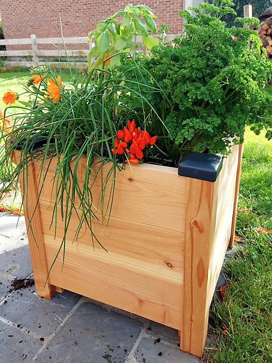 Bac Douglas Premium 50x50x 48CM Mon Petit Potager
