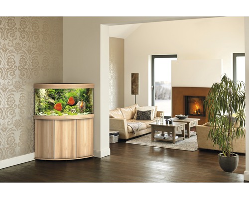 JUWEL Trigon 190 SBX aquariumcombinatie met ledverlichting, filter, verwarming en lichthouten kast