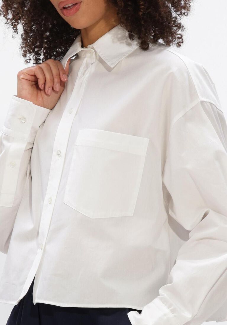 witte max mara blouses eden