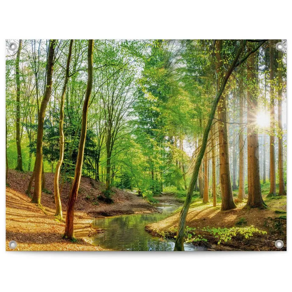 Tuinposter Lentebos - 60x80cm - Groen