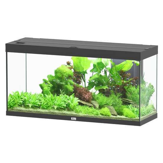 Aquarium équipé Splendid Led 2.0 Noir L.120xP.40xH.61cm